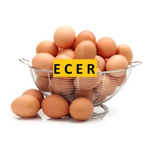 ECER 1 Kg - Telur Ayam Negeri