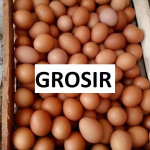 GROSIR Telur Ayam Negeri