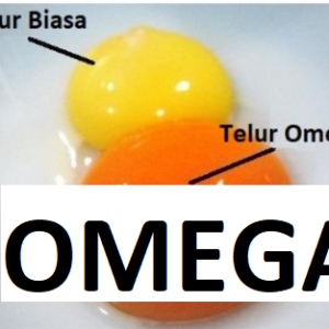 Omega 1 Kg - Telur Ayam