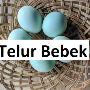 Telur Bebek